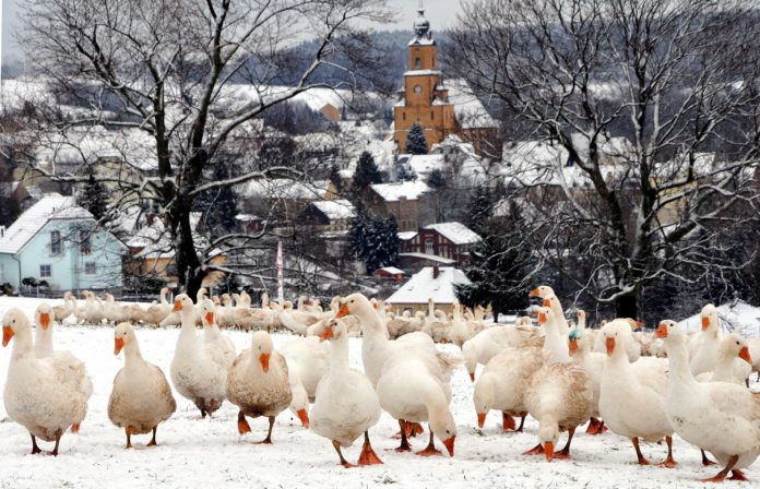 20171215_gans