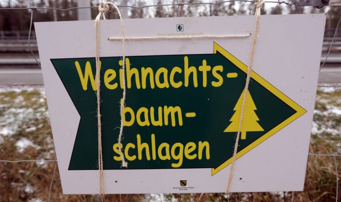 201810_tannebaum