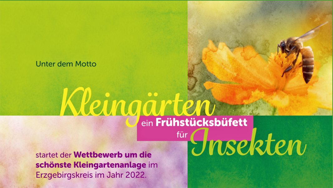 20221007_garten1