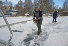 Blau-gelbe Eishaie hoffen auf Frost und Kälte